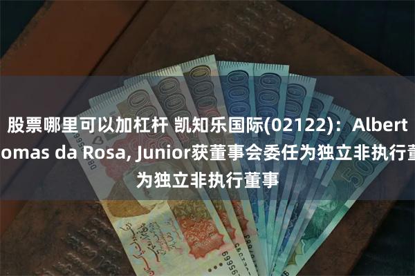 股票哪里可以加杠杆 凯知乐国际(02122)：Albert Thomas da Rosa, Junior获董事会委任为独立非执行董事