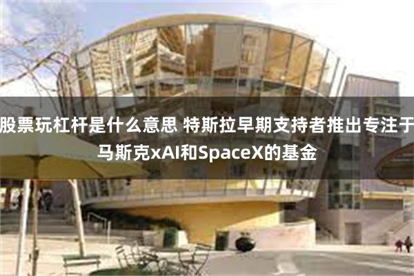 股票玩杠杆是什么意思 特斯拉早期支持者推出专注于马斯克xAI和SpaceX的基金