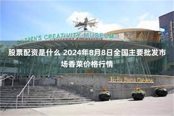 股票配资是什么 2024年8月8日全国主要批发市场香菜价格行情