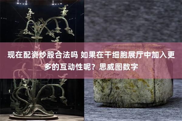 现在配资炒股合法吗 如果在干细胞展厅中加入更多的互动性呢？思威图数字