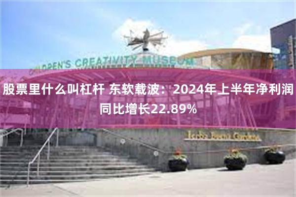 股票里什么叫杠杆 东软载波：2024年上半年净利润同比增长22.89%