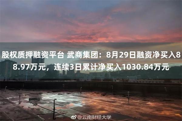 股权质押融资平台 武商集团：8月29日融资净买入88.97万元，连续3日累计净买入1030.84万元