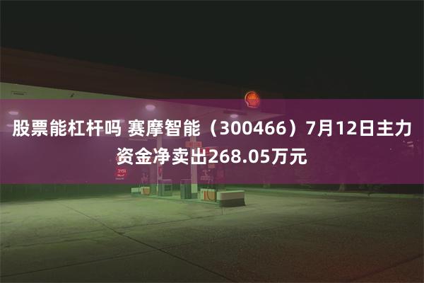 股票能杠杆吗 赛摩智能（300466）7月12日主力资金净卖出268.05万元