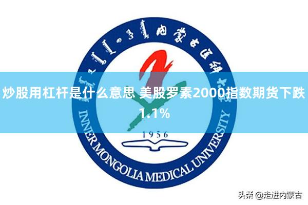 炒股用杠杆是什么意思 美股罗素2000指数期货下跌1.1%