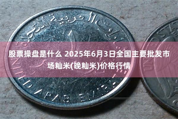 股票操盘是什么 2025年6月3日全国主要批发市场籼米(晚籼米)价格行情